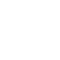 bebidas